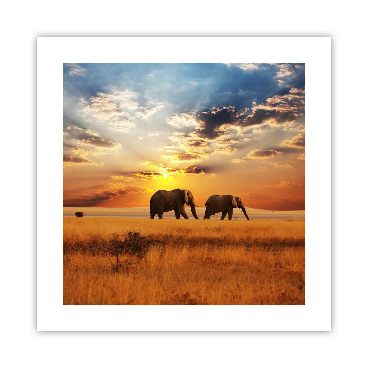 Poster - Familie wandeling - 40x40 cm