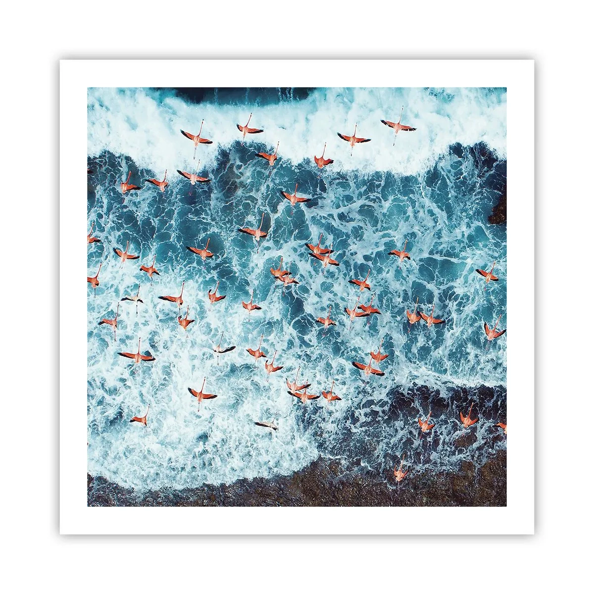 Poster - De kustparade - 60x60 cm