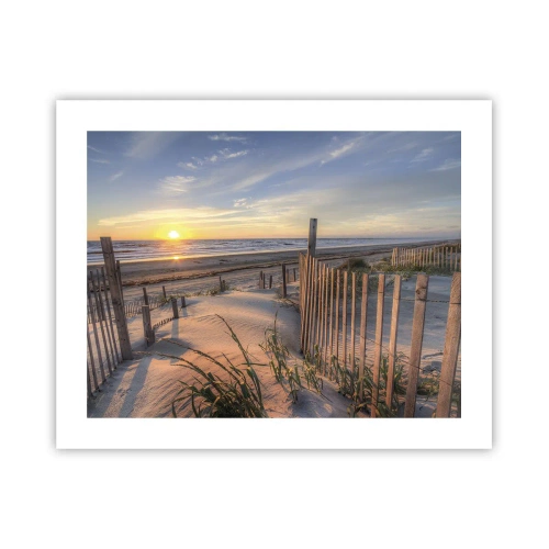 Poster - Glans en schaduw van de wind - 50x40 cm