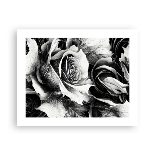 Poster - Altijd een koningin - 50x40 cm