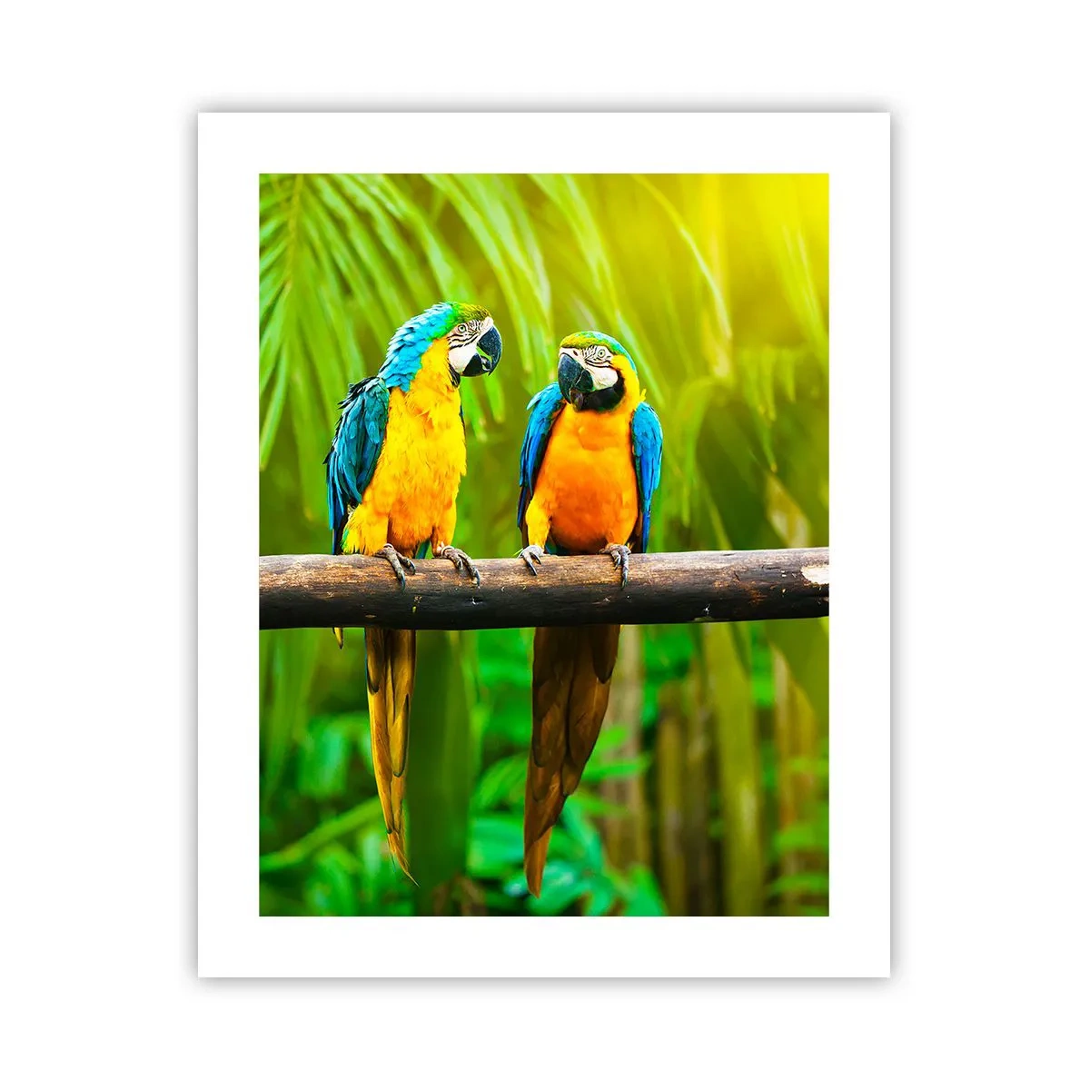 Poster - En heb je gehoord dat ze...? - 40x50 cm