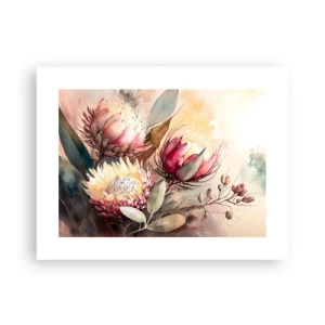 Poster - In profiel en en face - 40x30 cm