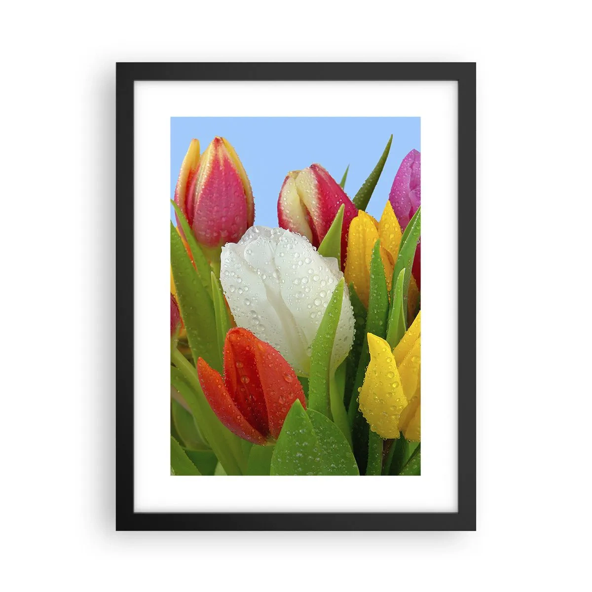 Poster in een zwarte lijst - Een bloemenregenboog in dauwdruppels - 30x40 cm