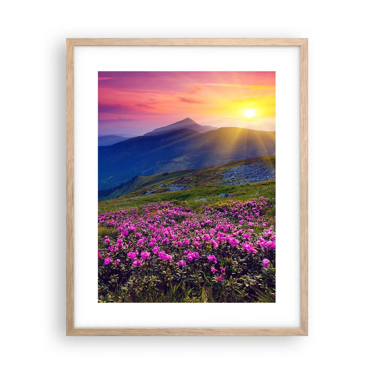 Een poster in een licht eiken lijst - … En eromheen ruikt het naar bergdennen en de geur van kruiden - 40x50 cm