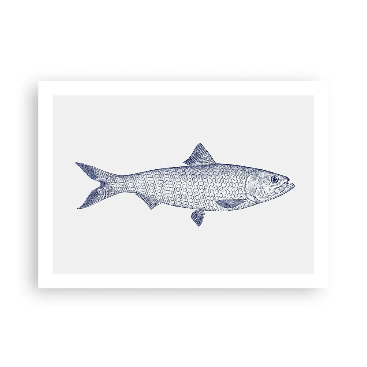 Poster - Groeten uit de noordelijke zeeën - 70x50 cm