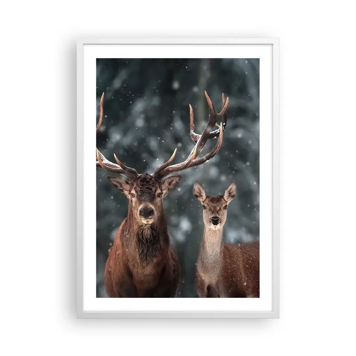 Poster in een witte lijst - Heer van het bos met zijn vrouw - 50x70 cm