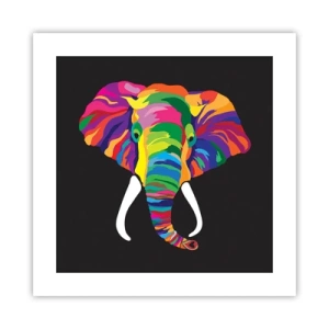 Poster - De olifant die ervan hield om in de regenboog te baden - 40x40 cm