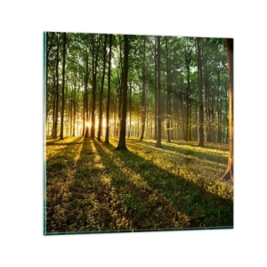 Schilderen op glas - Foto van de hele lente - 50x50 cm