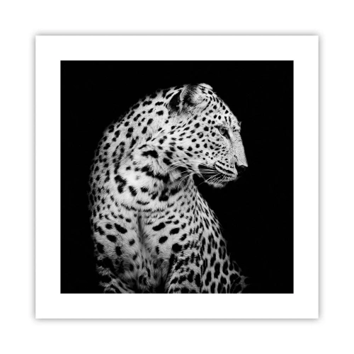 Poster - Juist profiel perfect! - 40x40 cm