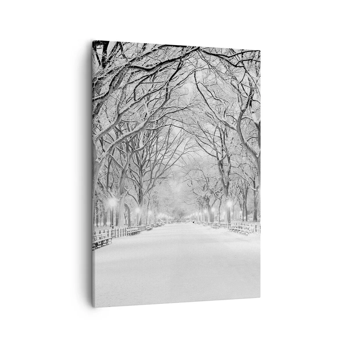 Schilderen op canvas - Vier seizoenen - winter - 50x70 cm
