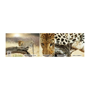 Fotobehang Monster Zelfklevend Deluxe Sticker - Ik ga mijn eigen weg - Dieren, luipaard, Afrika - 100x30 cm