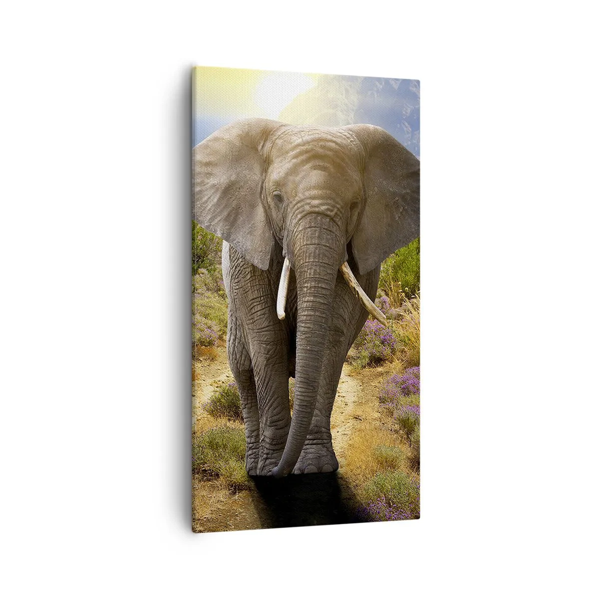 Schilderen op canvas - Zo zag Eden eruit - 55x100 cm