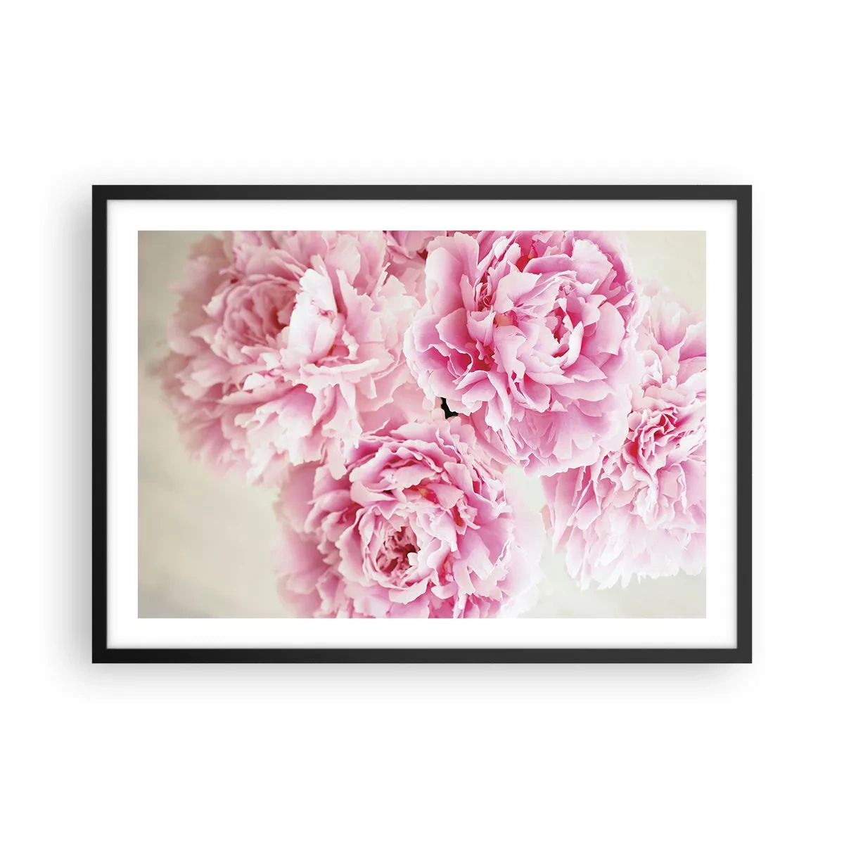 Poster in een zwarte lijst - In roze glamour - 70x50 cm