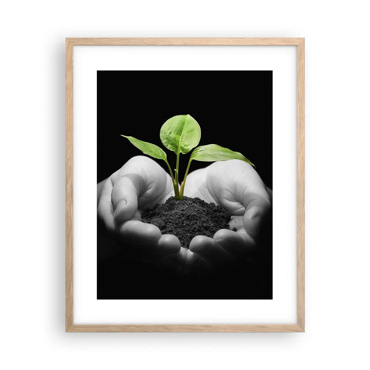 Een poster in een licht eiken lijst - Ik hou van de natuur, ik bescherm haar - 40x50 cm