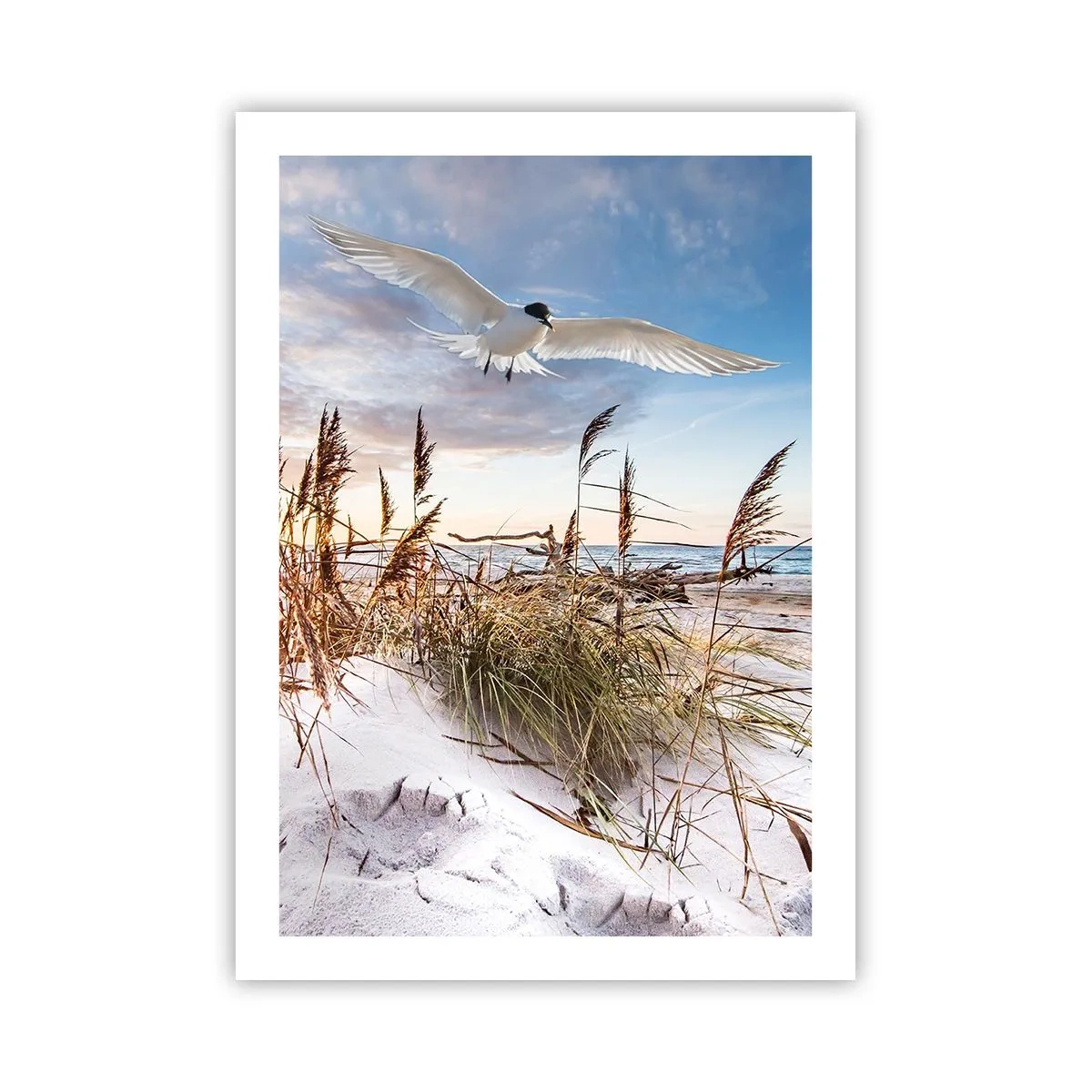 Poster - Wind uit zee - 50x70 cm