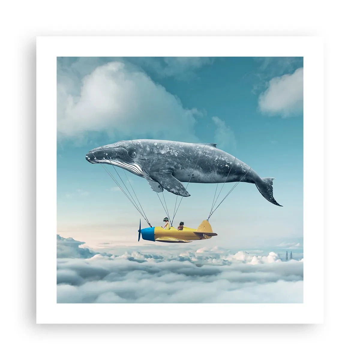 Poster - Waarom niet? - 50x50 cm