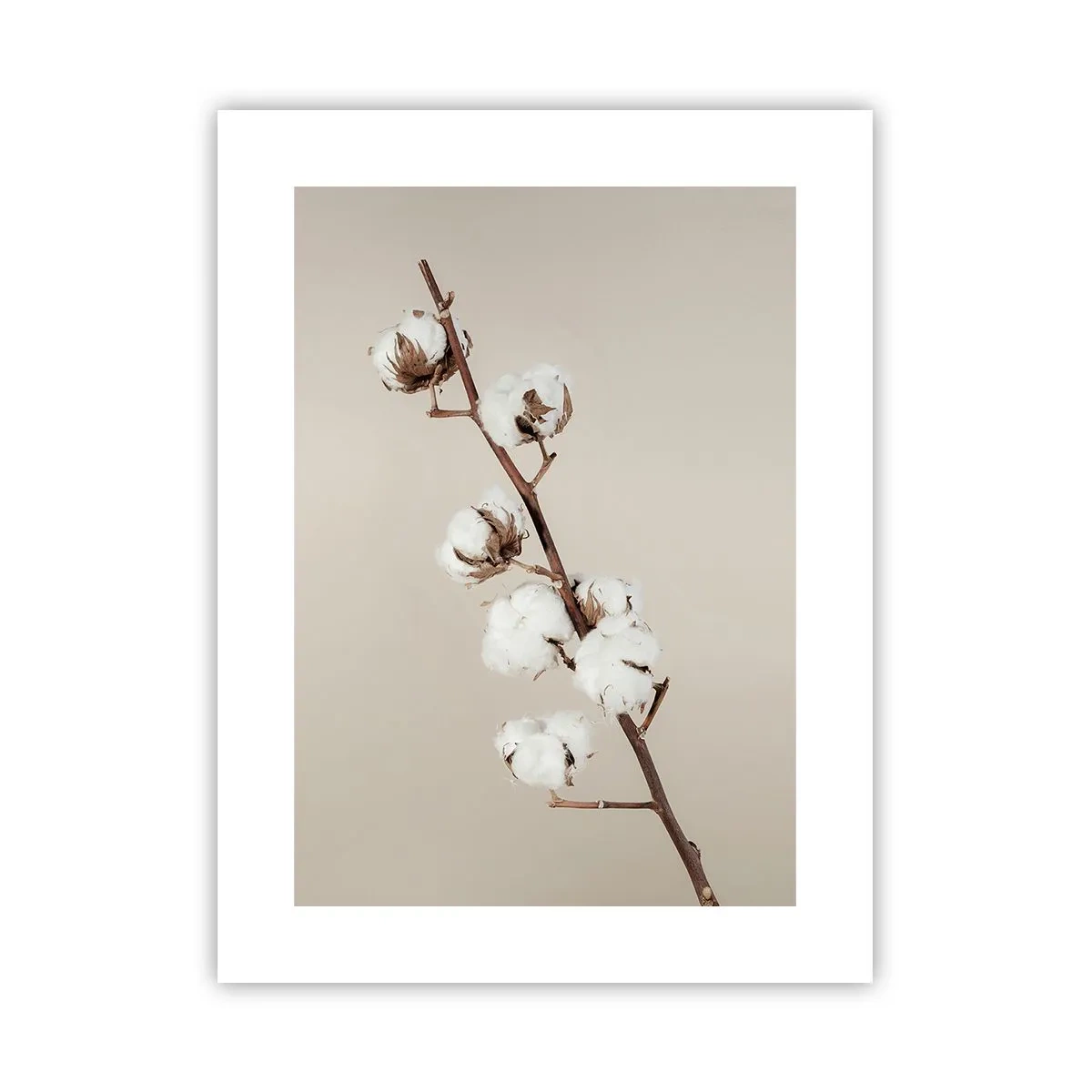 Poster - Aan de bron van zachtheid - 30x40 cm