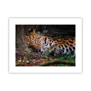 Poster - Geloof me - 40x30 cm