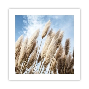 Poster - Zonnige en winderige streling - 40x40 cm