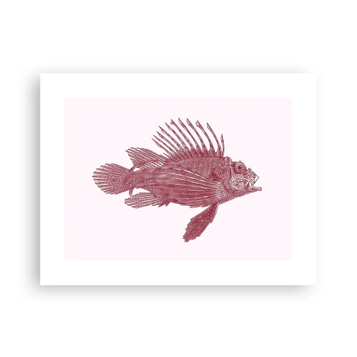 Poster - Inwoner van exotische wateren - 40x30 cm