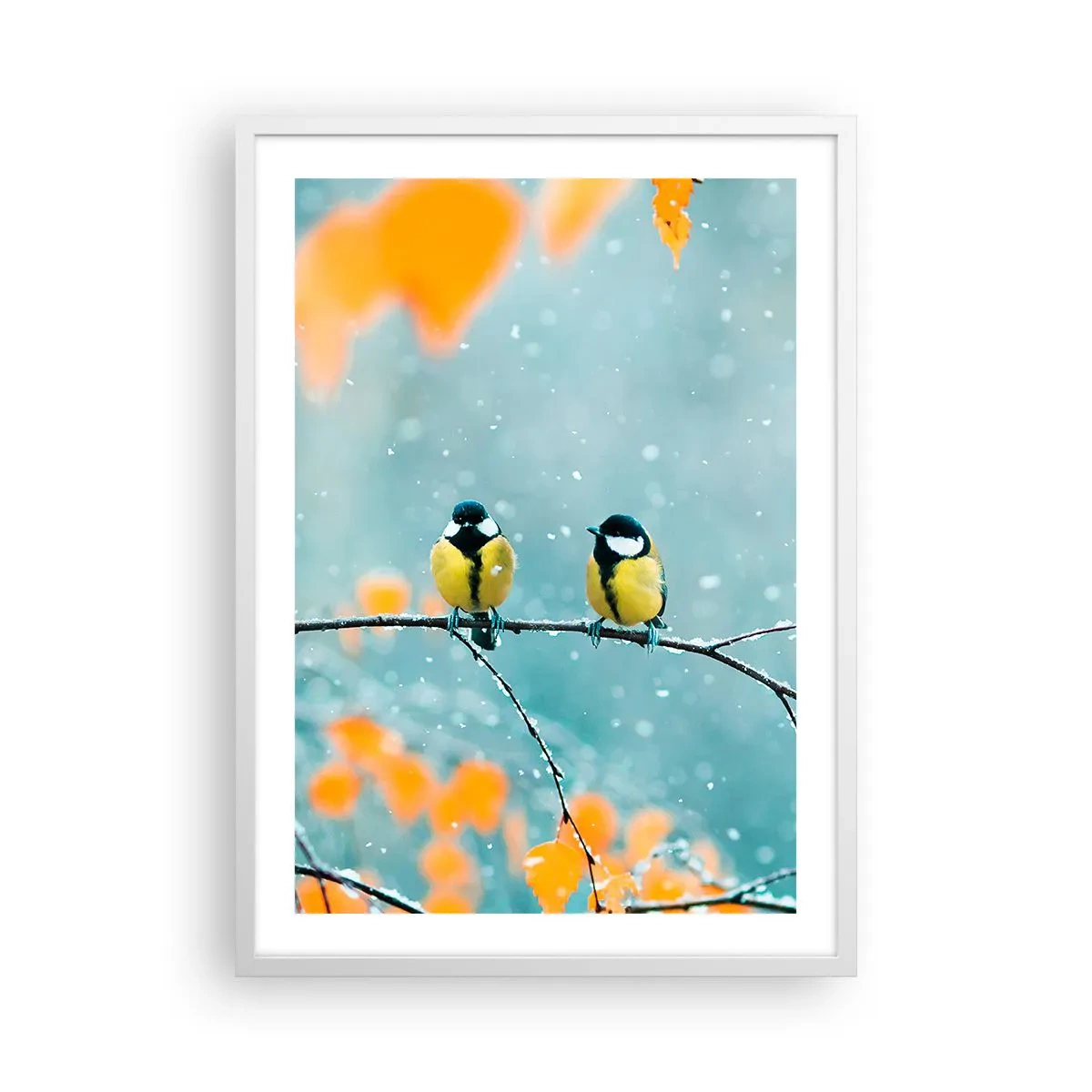 Poster in een witte lijst - Vogelroddel - 50x70 cm