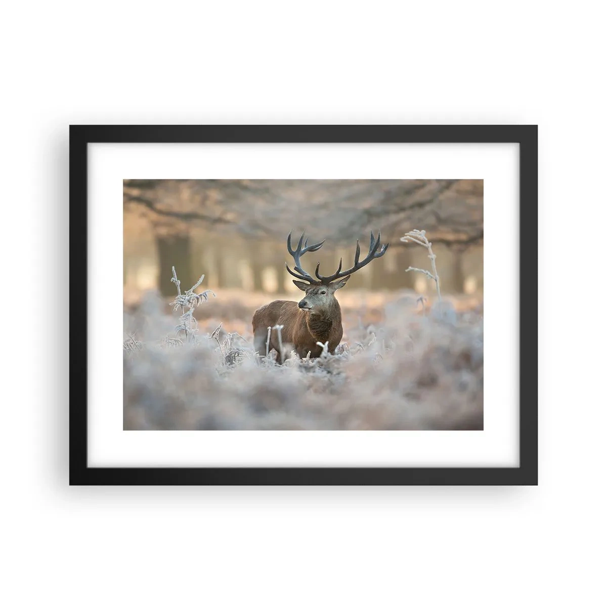 Poster in een zwarte lijst - Een frisse ochtend - 40x30 cm