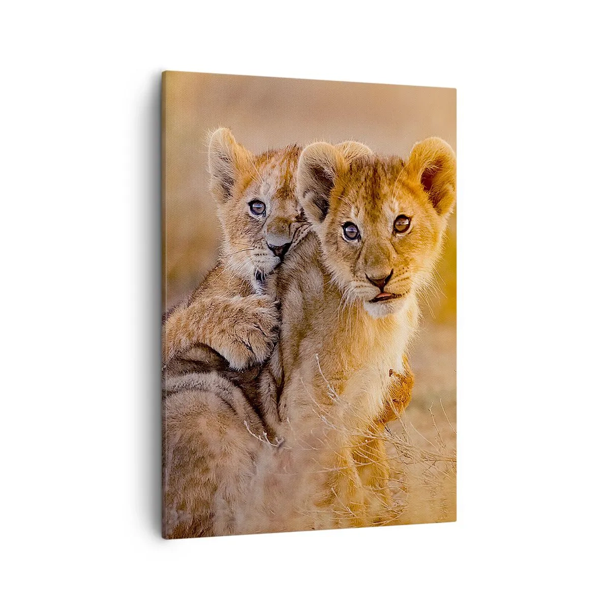 Schilderen op canvas - Niet storen! We hebben plezier - 50x70 cm