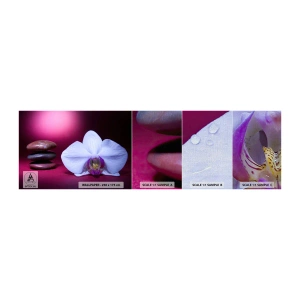 Fotobehang Monster Premium Canvas - Een studie van versheid in paars - Bloemen, Spa, Stenen - 100x30 cm
