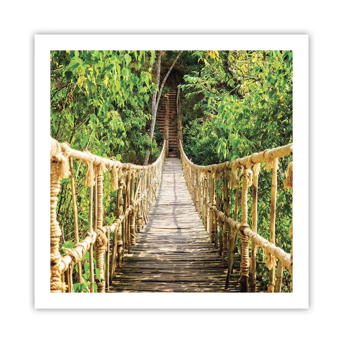 Poster - Opgeschort in het groen - 60x60 cm