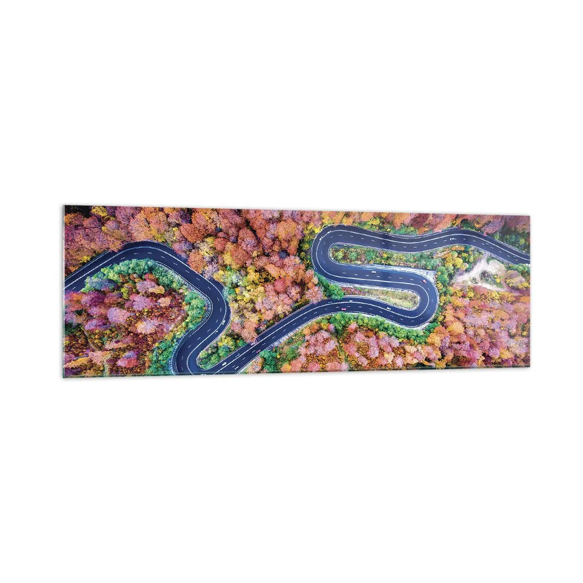 Schilderen op glas - Een kronkelende weg door het bos - 160x50 cm