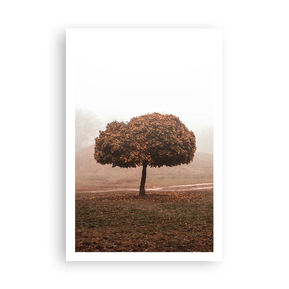 Poster - Na een drukke zomer - 61x91 cm