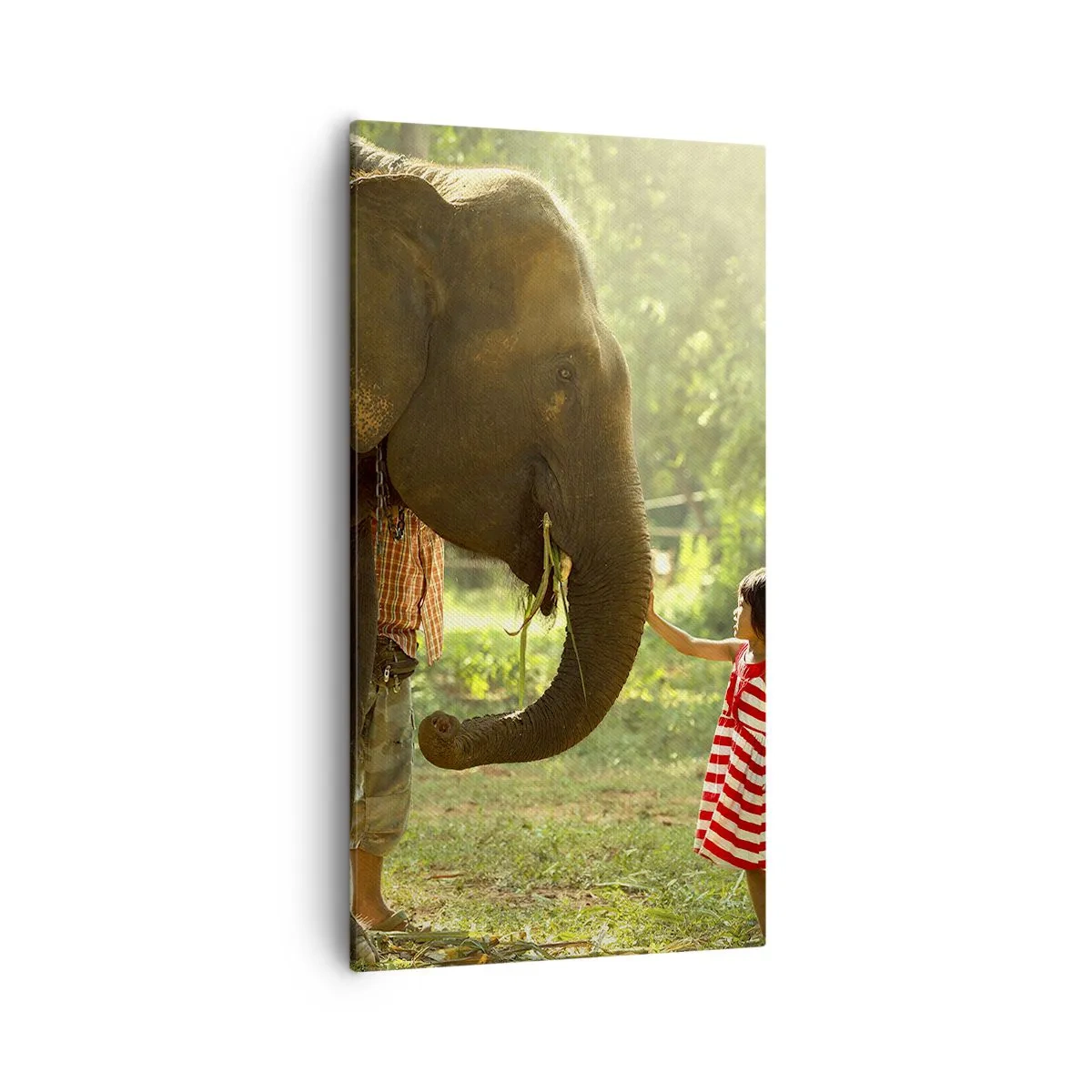 Schilderen op canvas - De kracht van vriendschap - 55x100 cm