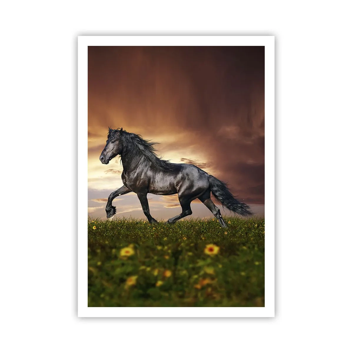Poster - Zwarte Prins - 70x100 cm