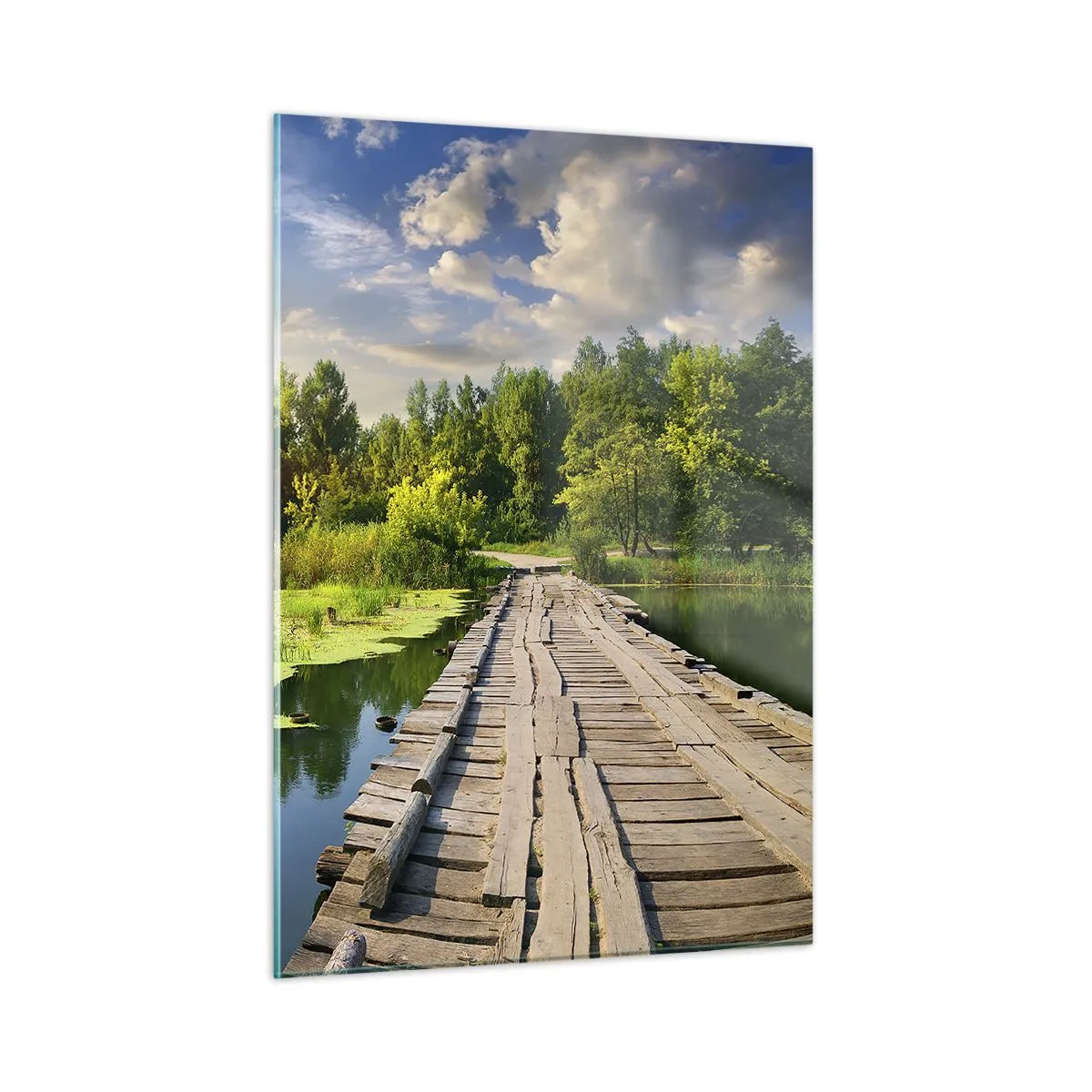 Schilderen op glas - Zomer, zomer overal - 50x70 cm