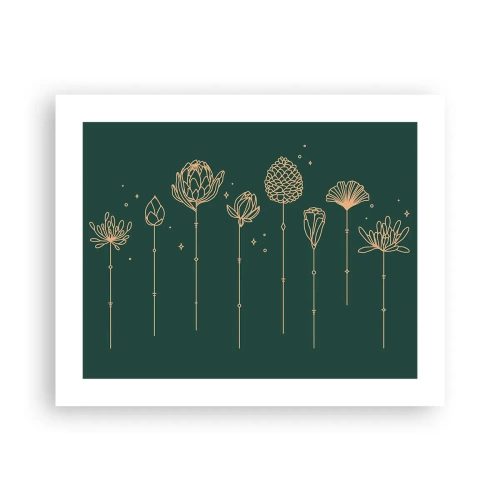 Poster - Kruidenfamiie / Familie Ziółkowsi ?? - 50x40 cm