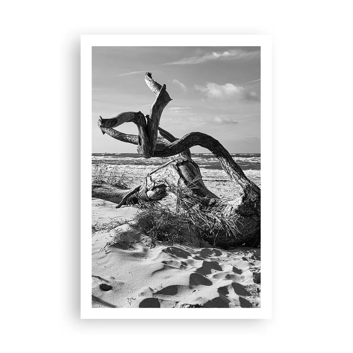 Poster - Zee sculptuur - 61x91 cm