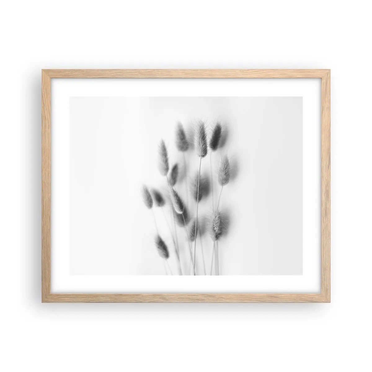 Een poster in een licht eiken lijst - Haar luchtigheid gras - 50x40 cm