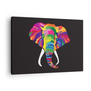 Schilderen op canvas - Een kleurrijke afbeelding van een olifant op een zwarte achtergrond - 70x50cm - De olifant die ervan hield om in de regenboog te baden - Moderne wanddecoratie voor woonkamer en slaapkamer ARTTOR