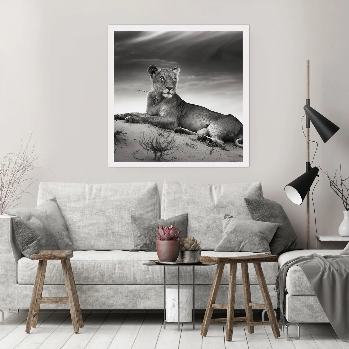 Poster - De koningin van de woestijn rust - 40x40 cm