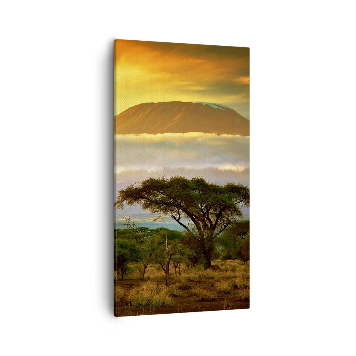 Schilderen op canvas - Een reizigersdroom - 55x100 cm