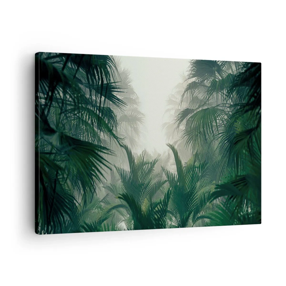 Schilderen op canvas - Tropische vegetatie in dichte regenwoudmist - 70x50cm - Tropisch mysterie - Moderne wanddecoratie voor woonkamer en slaapkamer ARTTOR