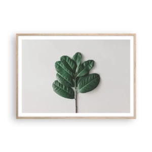 Een poster in een licht eiken lijst - Een tekening van de pure natuur - 100x70 cm