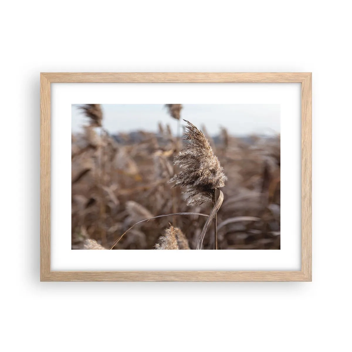 Een poster in een licht eiken lijst - Tijd om met de wind mee te gaan - 40x30 cm