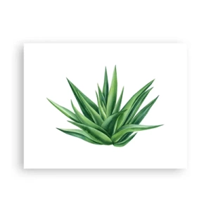 Poster - Groen – kracht – leven - 40x30 cm