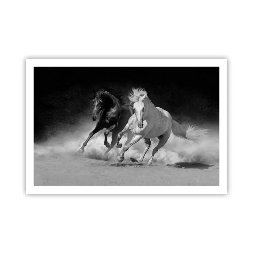 Poster - Vrijheidsgalop - 91x61 cm