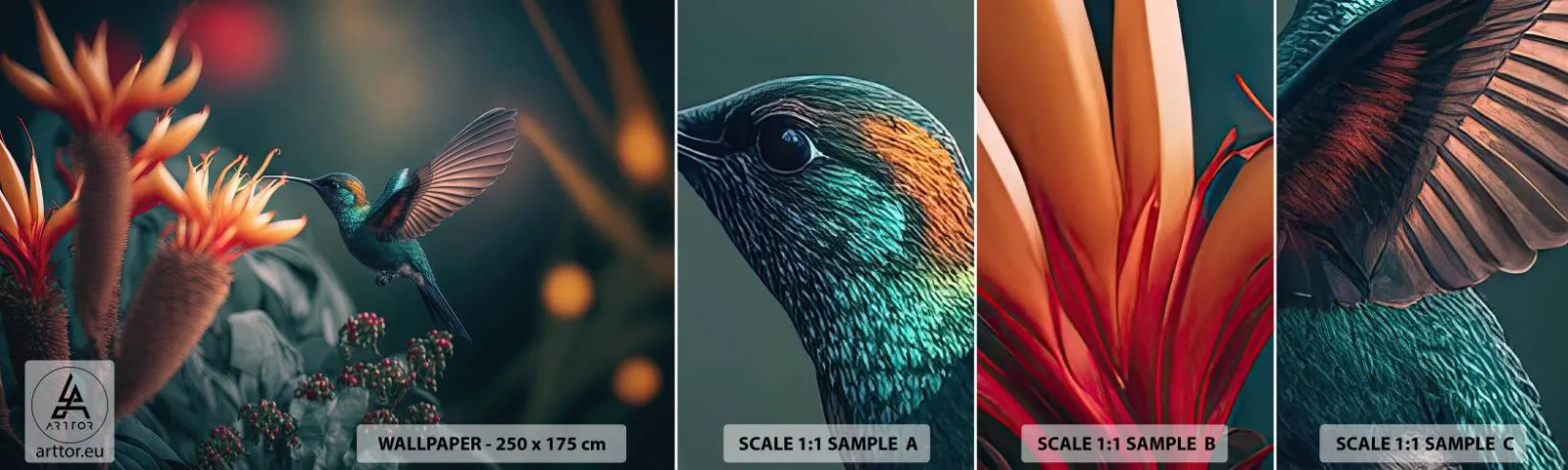 Fotobehang Staaltje Standard Eco - een werkelijk kleurrijk leven - Vogel, Exotisch, Bloem - 100x30 cm