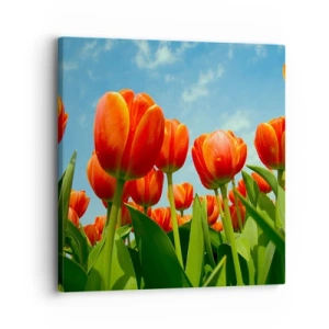 Schilderen op canvas - Afgezien van de blauwe lucht hebben ze niets nodig in hun leven - 30x30 cm