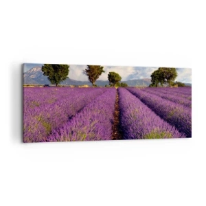 Schilderen op canvas - Lavendel velden - 100x40 cm