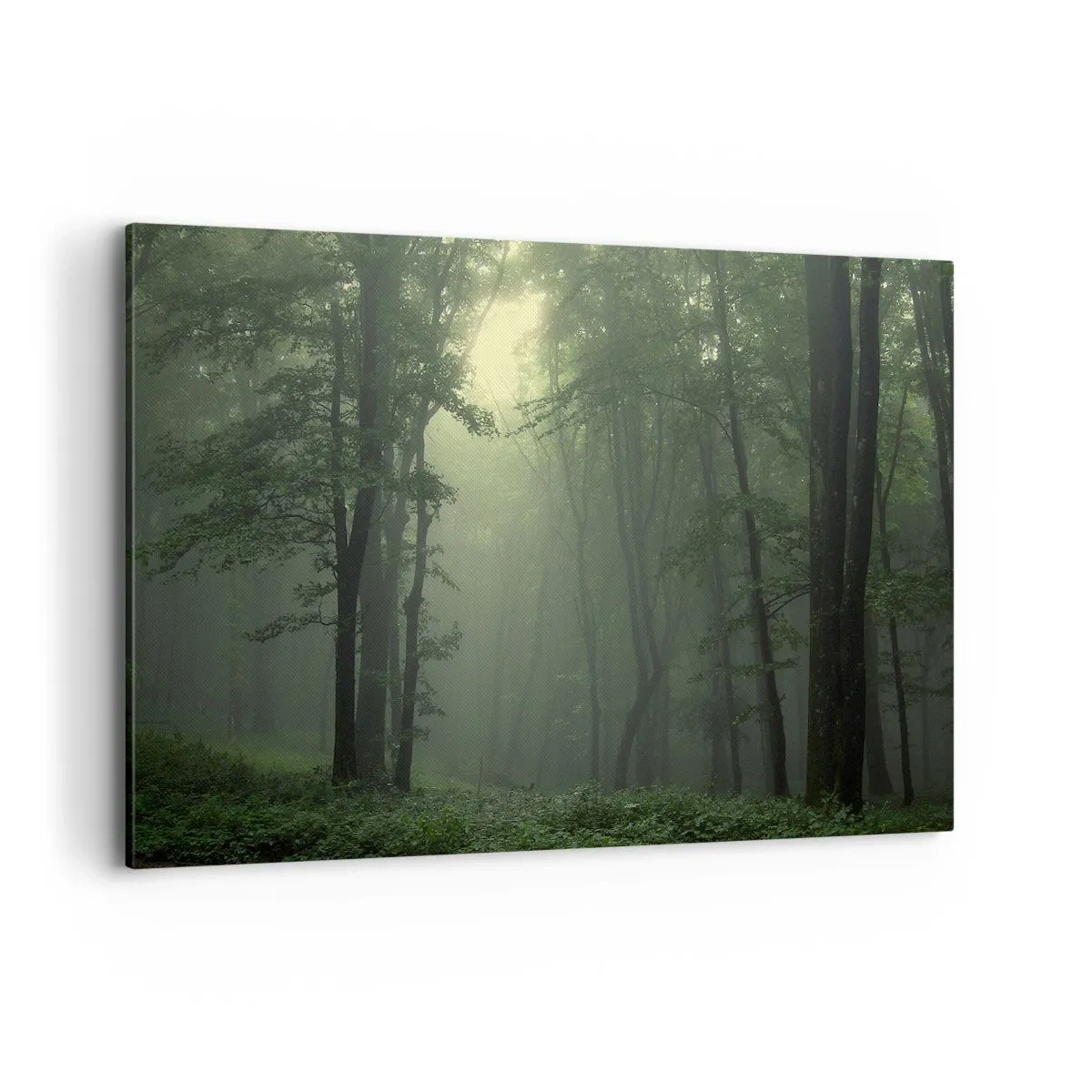 Schilderen op canvas - Voordat hij wakker wordt - 100x70 cm