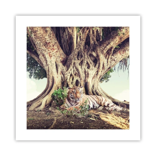 Poster - Uitzicht vanuit het boek Genesis - 40x40 cm